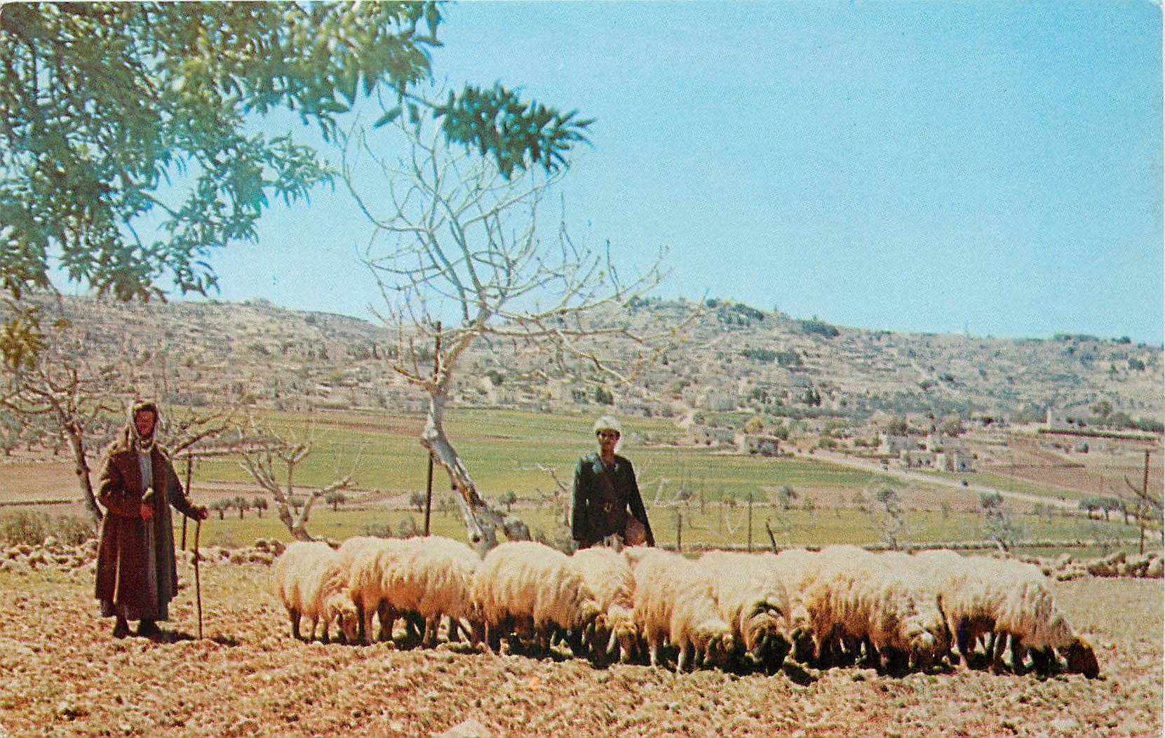 CPM the Shepherd's Field the Town of Bethlehem is in the Background