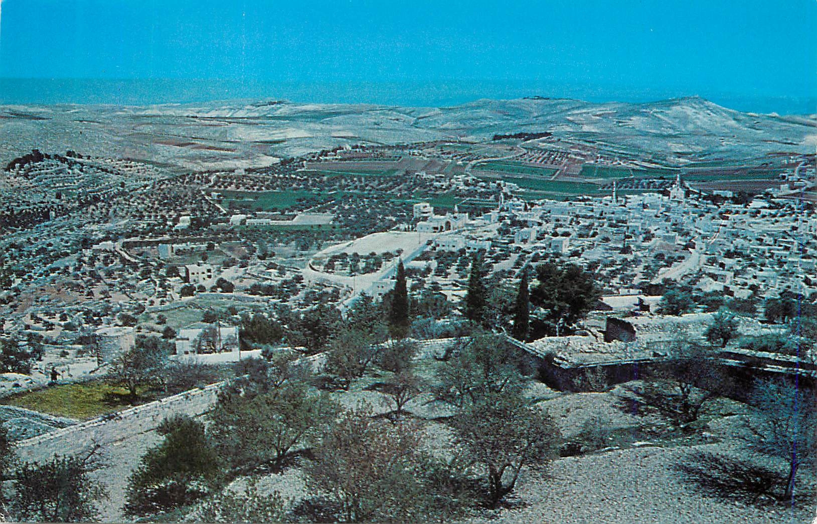 CPM Bethlehem General View of the Shepherd's Field