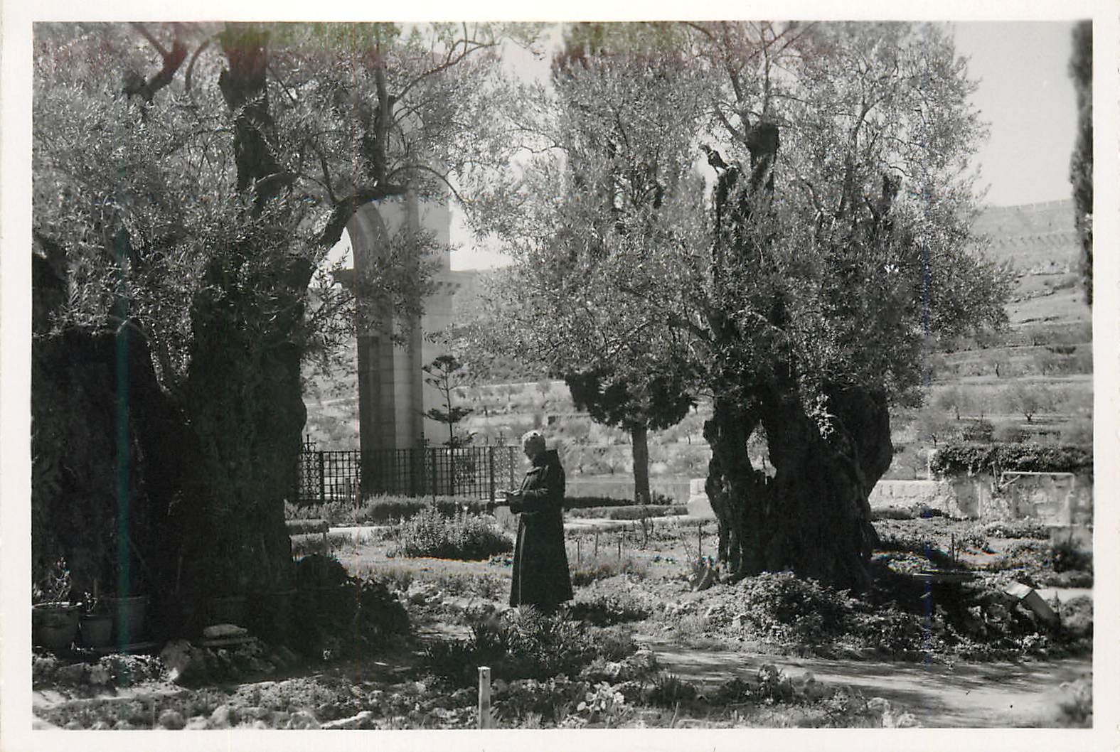 CPM Garden of Gethsemane