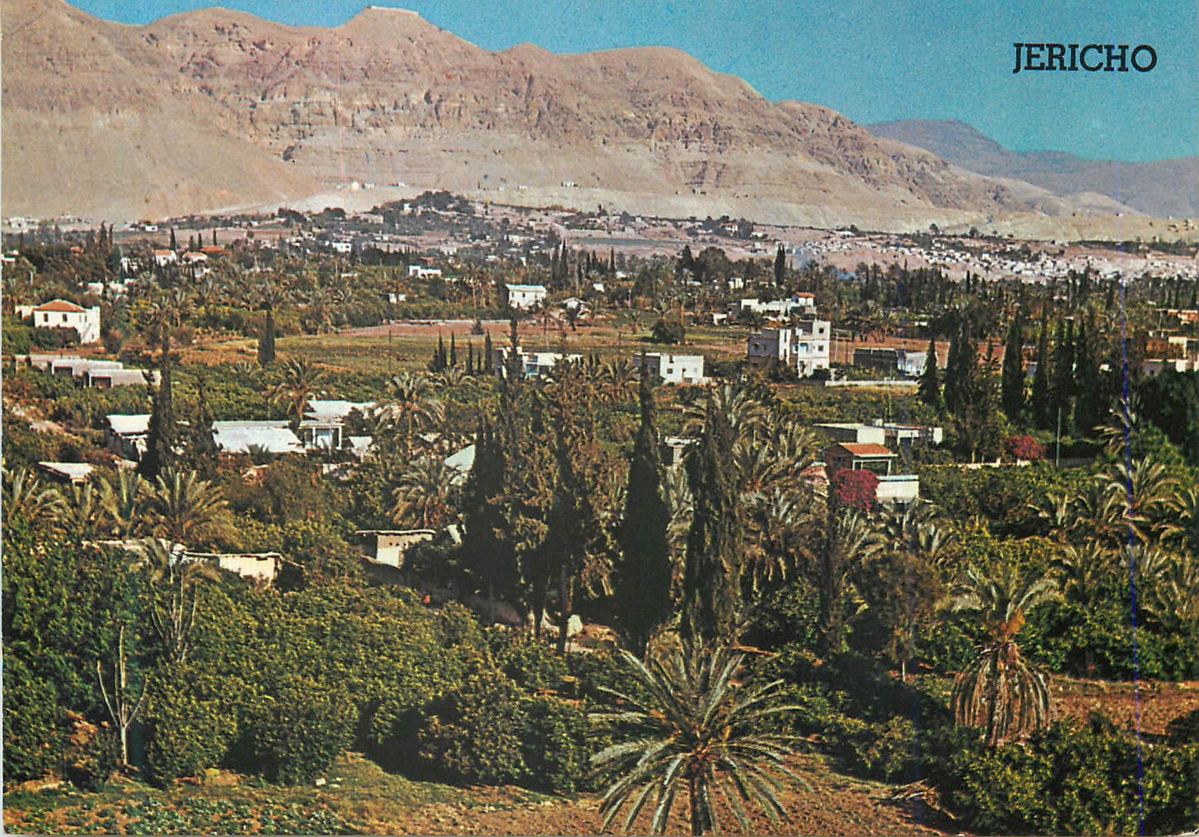 CPM Jericho Ville de Palmiers dans la vallee du Jourdain une des Villes les plus Vieilles du Monde