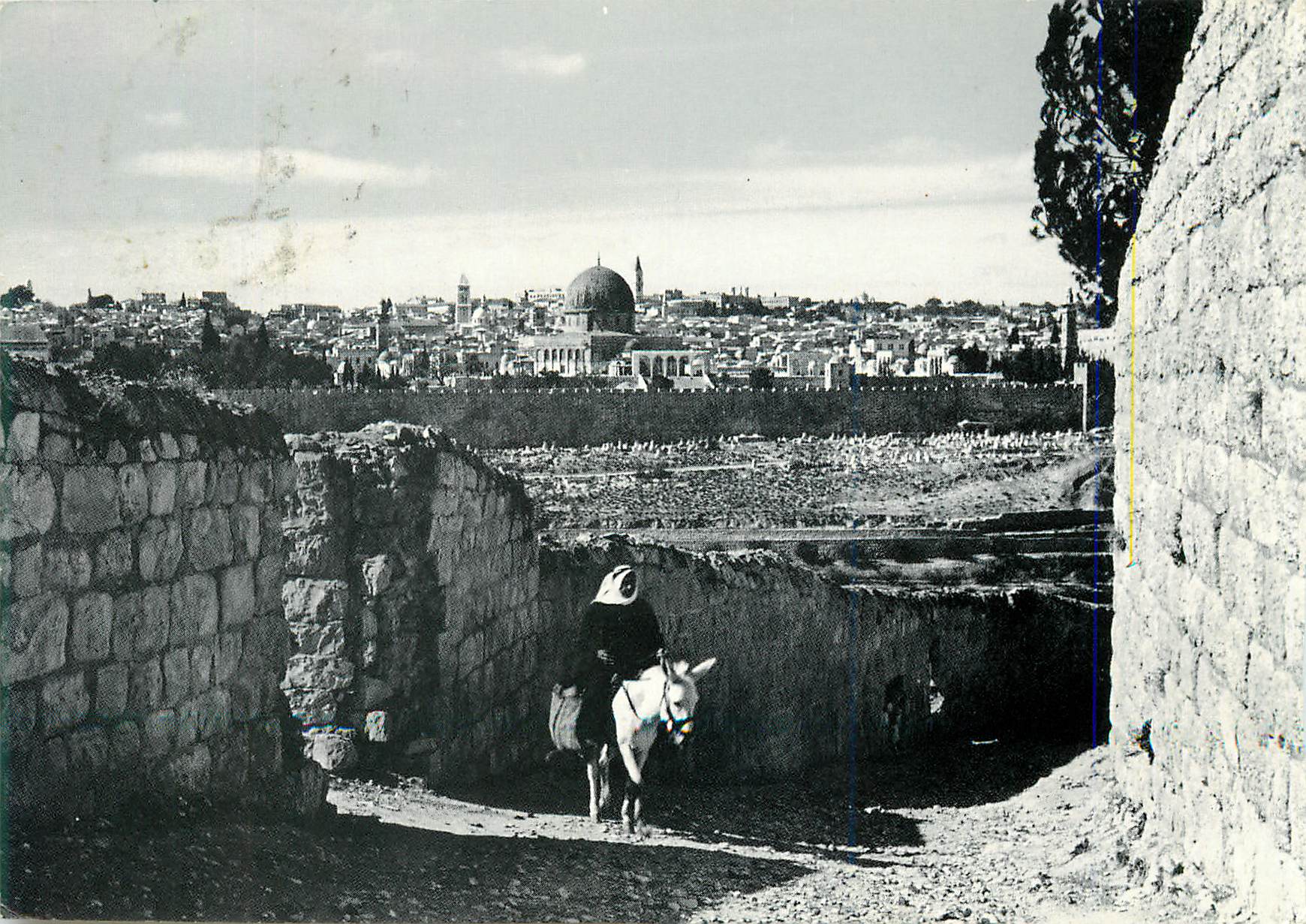 CPM General View of Jerusalem Ane Donkey