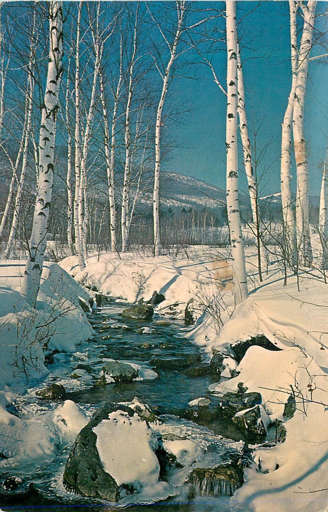 CPM The Beautiful Berkshire Hills of Massachusetts Provide the Ideal Setting for your year Round Cultural 