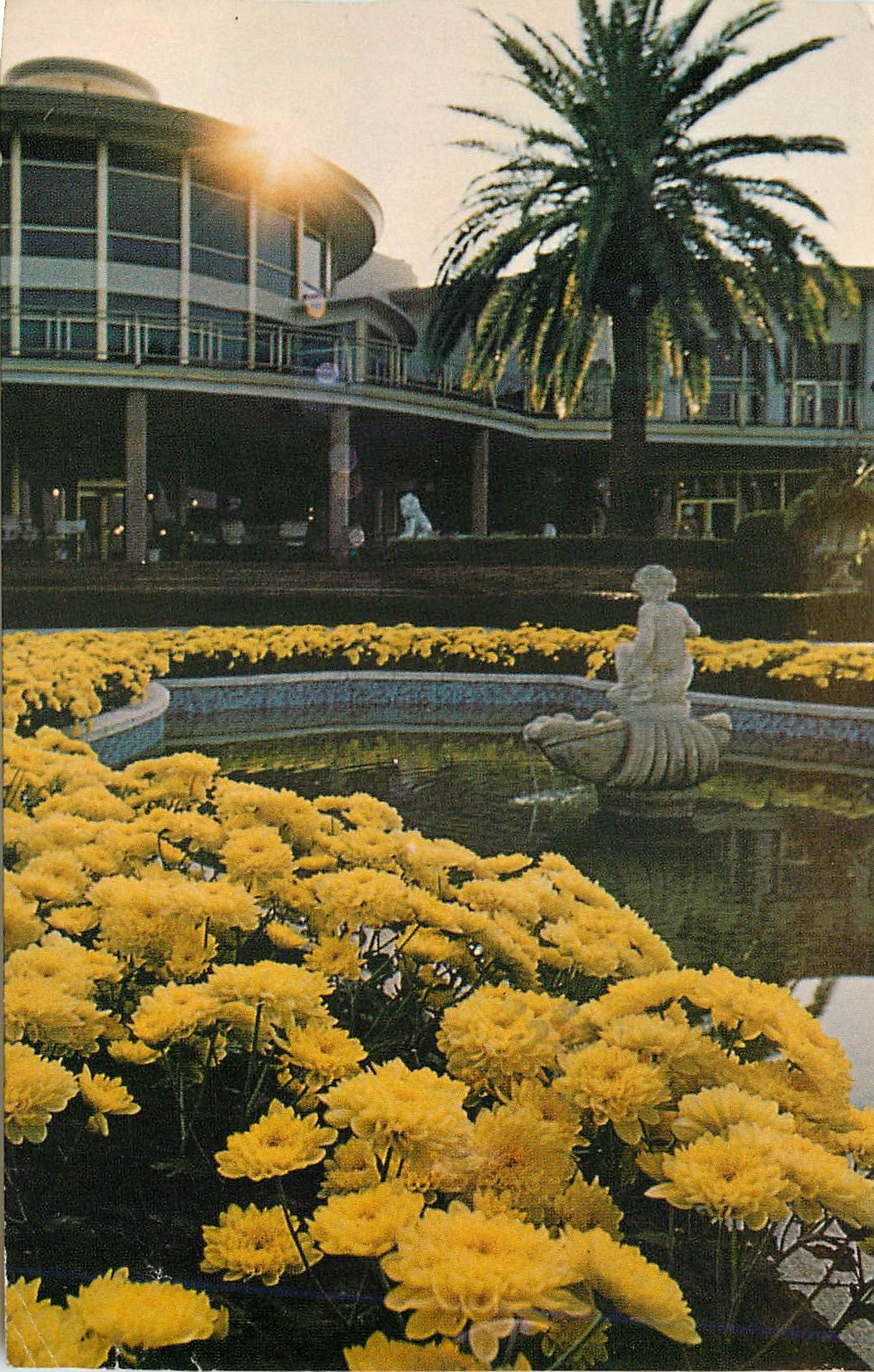 CPM Foutains Flowers and Towering Palms surround the Clubhouse of Doral Country Club