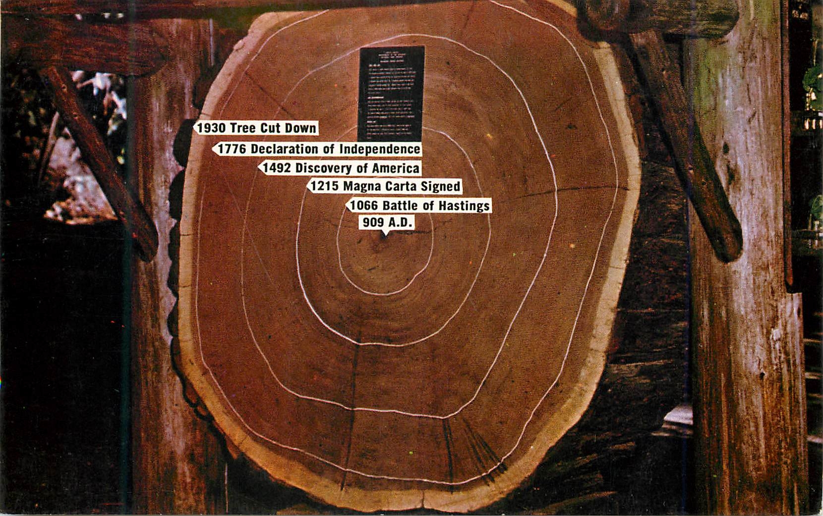 CPM 1930 Tree Cut Down 1776 Declaration of Independence 1492 Discovery of America 1215 Magma Carta Signed 1066 Battle of