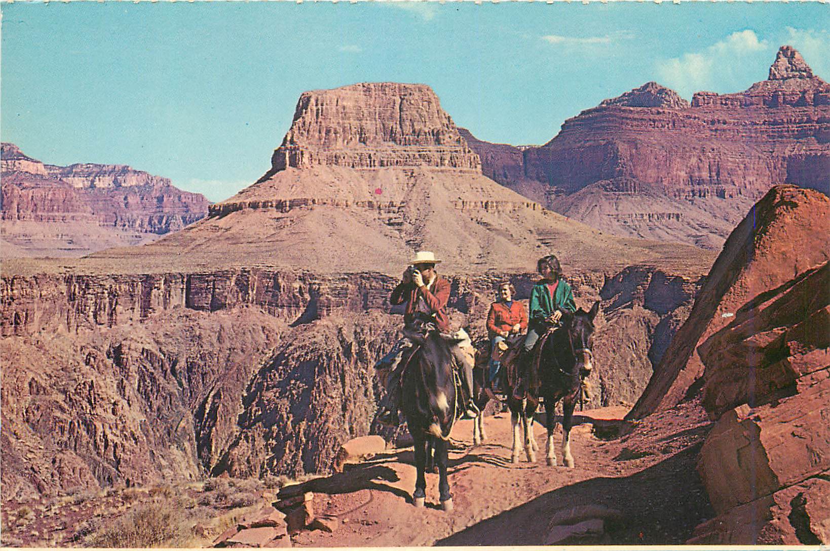 Mule-train sur la piste du Kaibab — Grand Canyon National Park, Arizona — Plastichrome by Colourpicture