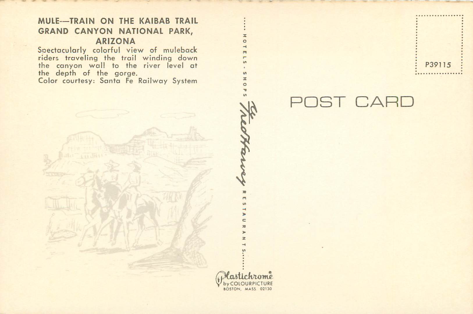 Mule-train sur la piste du Kaibab — Grand Canyon National Park, Arizona — Plastichrome by Colourpicture — Reverso