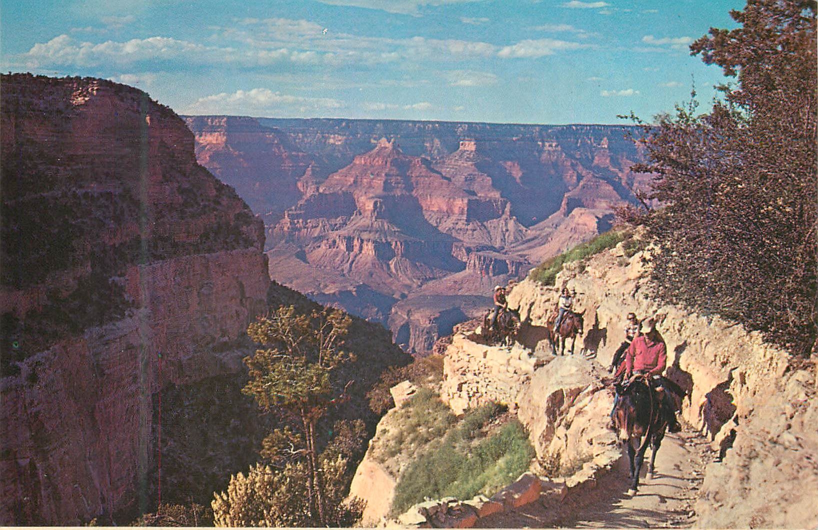 CPM Grand Canyon National Park Arizona Mule Train Returns