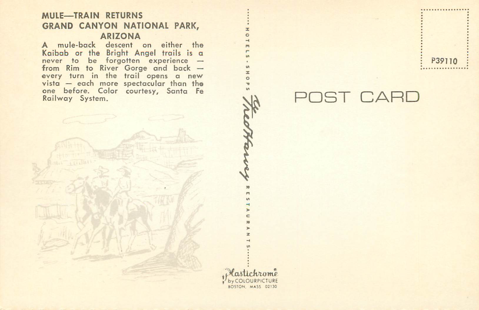 CPM Grand Canyon National Park Arizona Mule Train Returns — Rückseite
