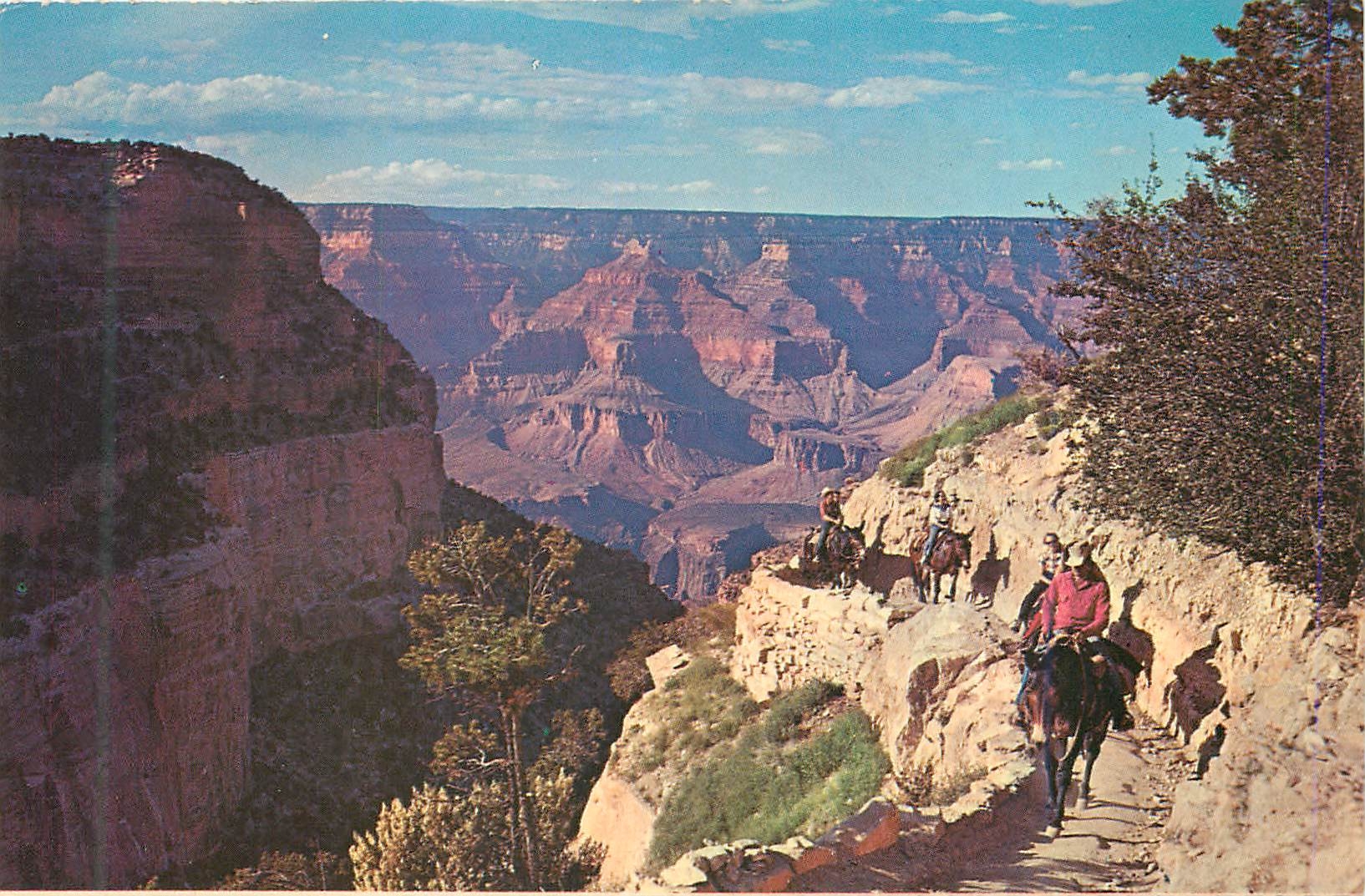 CPM Grand Canyon National Park Arizona Mule Train Returns