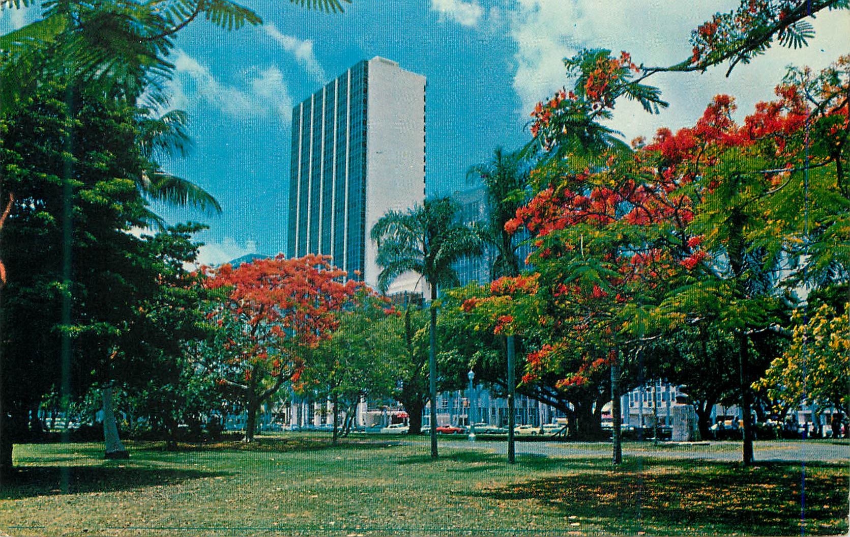 CPM Skyscrapers along Biscayne Boulevard are framed by the Brilliant red Flowers of the Royal Poincaiana Tree