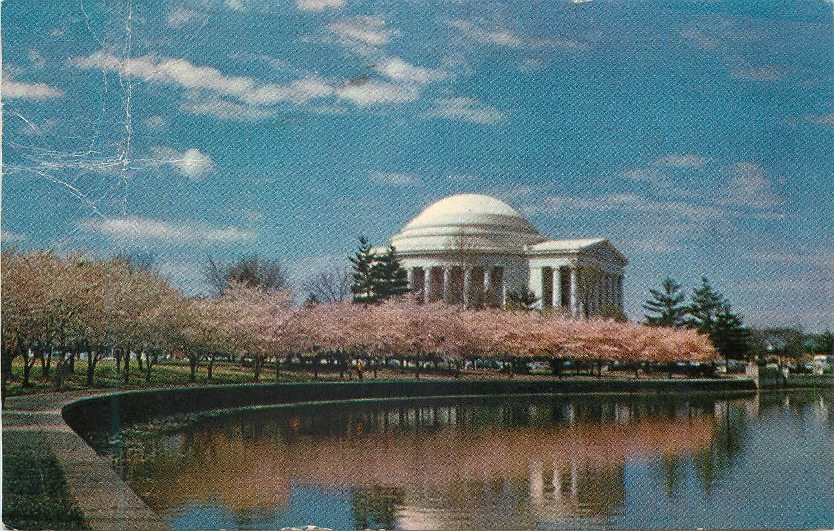 CPM Jefferson Memorial Appears in its most Beautiful Setting usually early in April