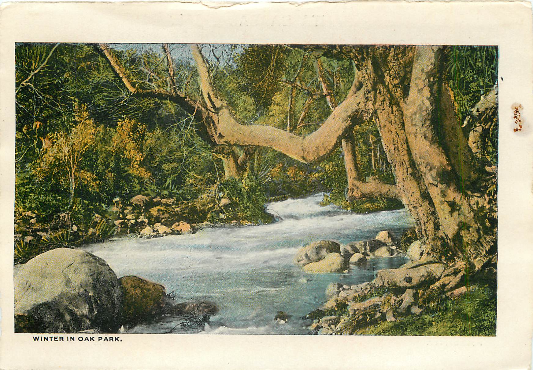 CPM Santa Barbara Cal Winter in Oak Park — Rückseite