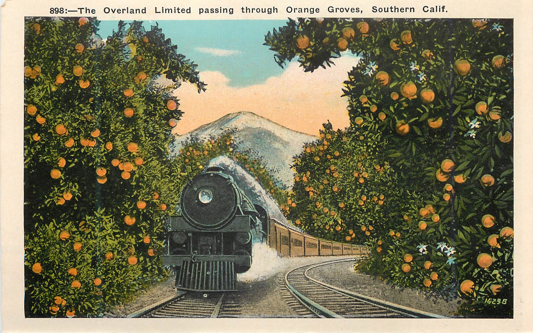CPM The Overland Limited Passing Through Orange Groves Southern Calif Train