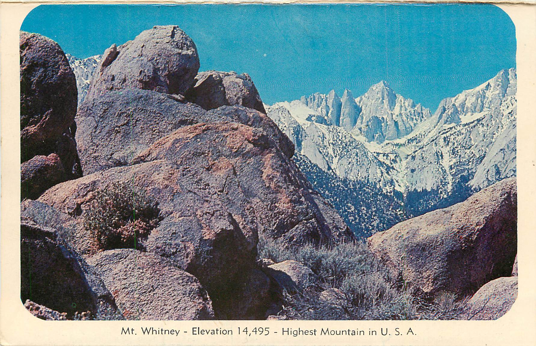CPM Orange Groves in California Mt Whitney Elevation 14495 Highest Mountain in USA — Rückseite