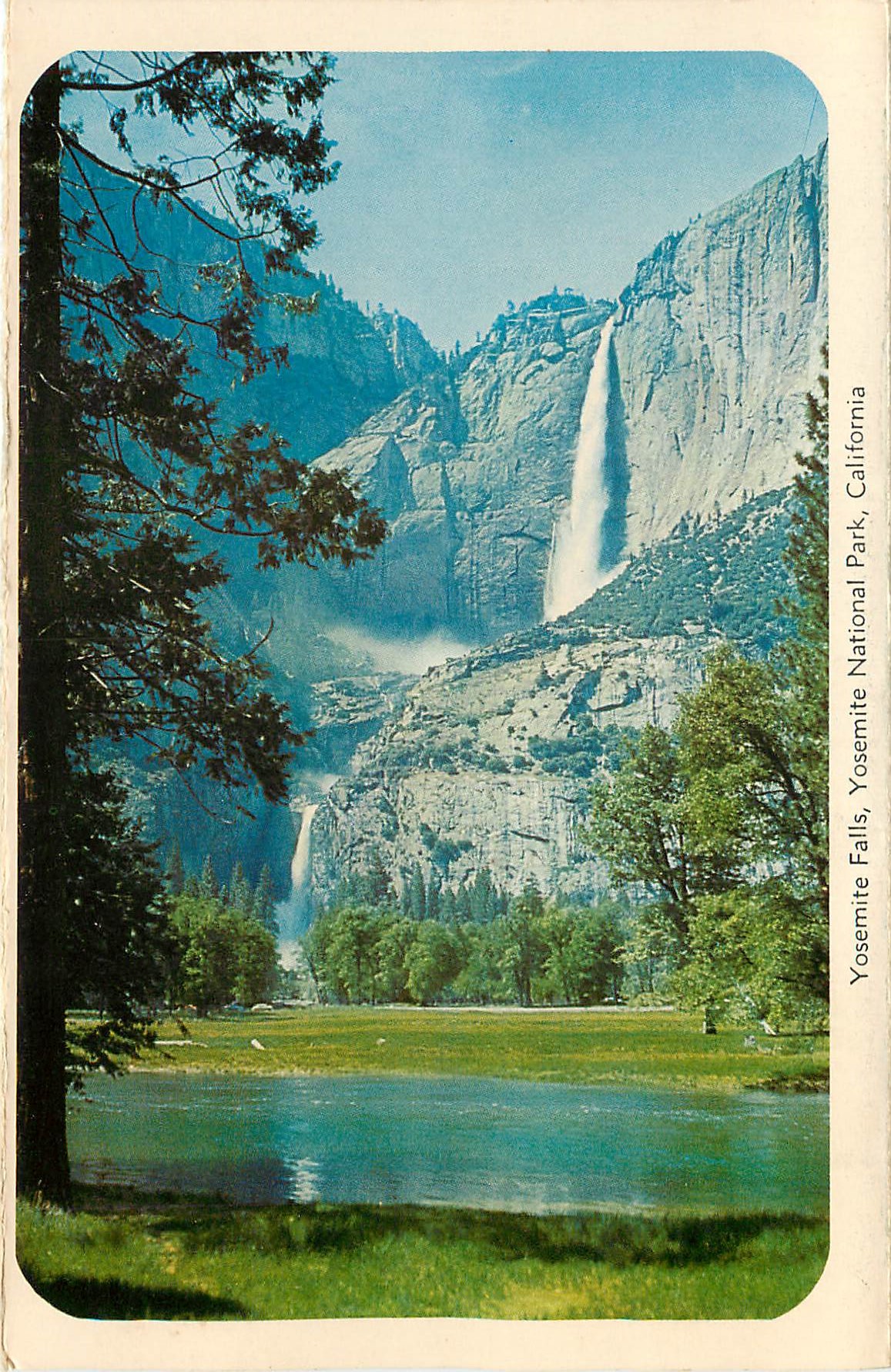 CPM California Redwood Trees Yosemite Falls Yosemite National Park California — Rückseite