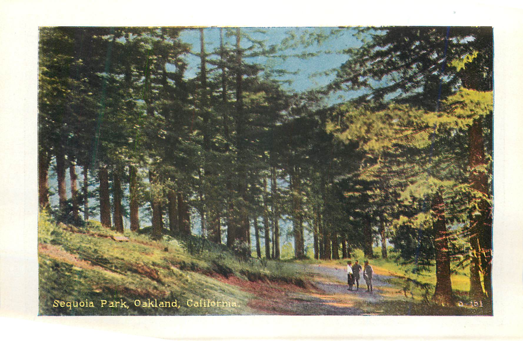 CPM Sequoia Park Oakland California Aeroplane View Oakland California