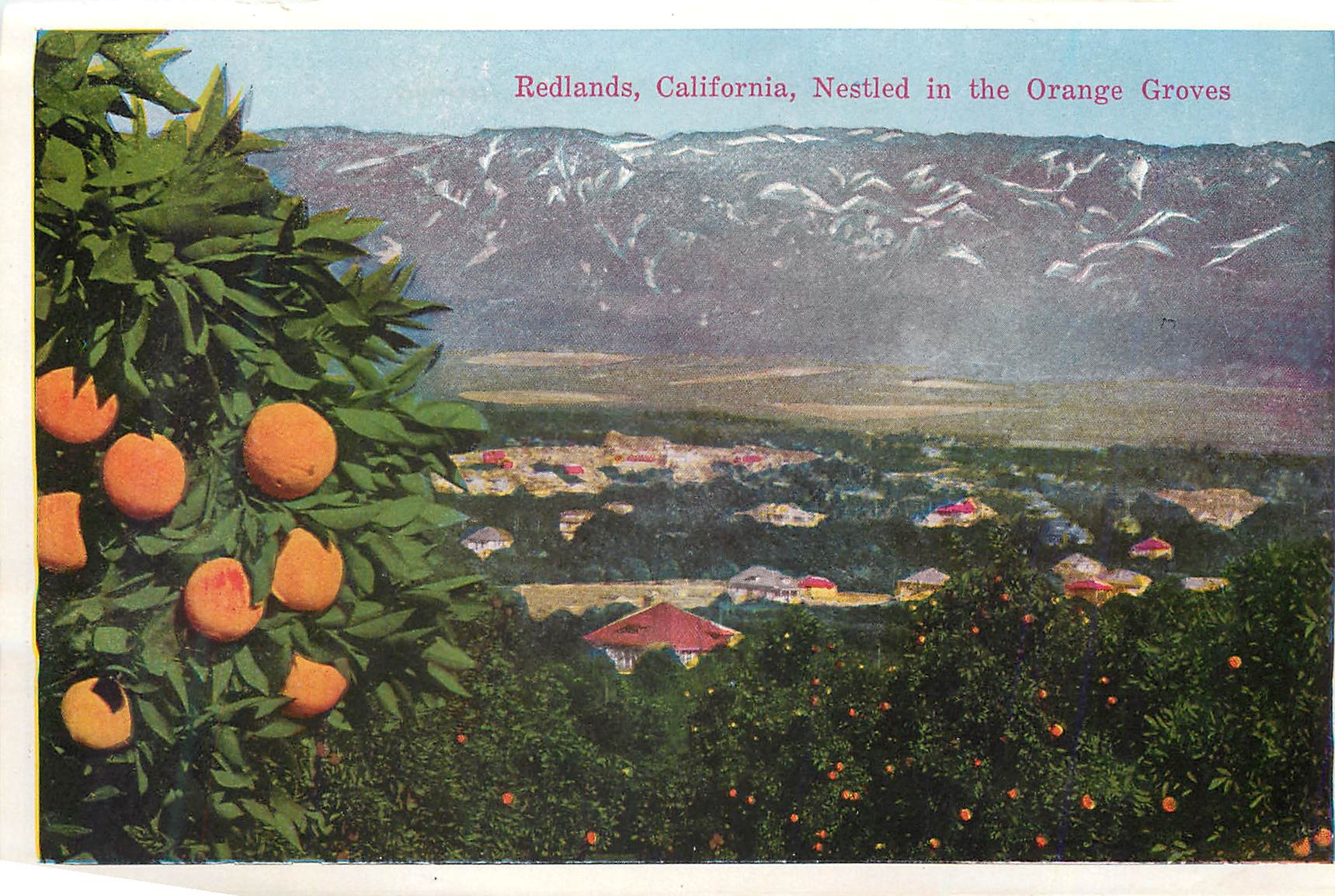 CPM Redlands California Nestled in the Orange Groves Universal City California The Capital of Filmland