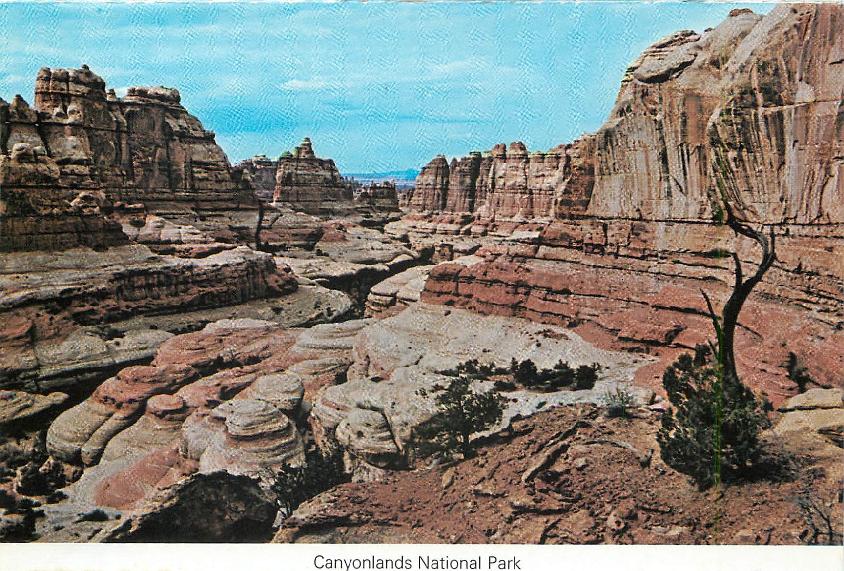 CPM Landscape Arch Arches National Park Balance Rock Canyonlands National Park  — Back