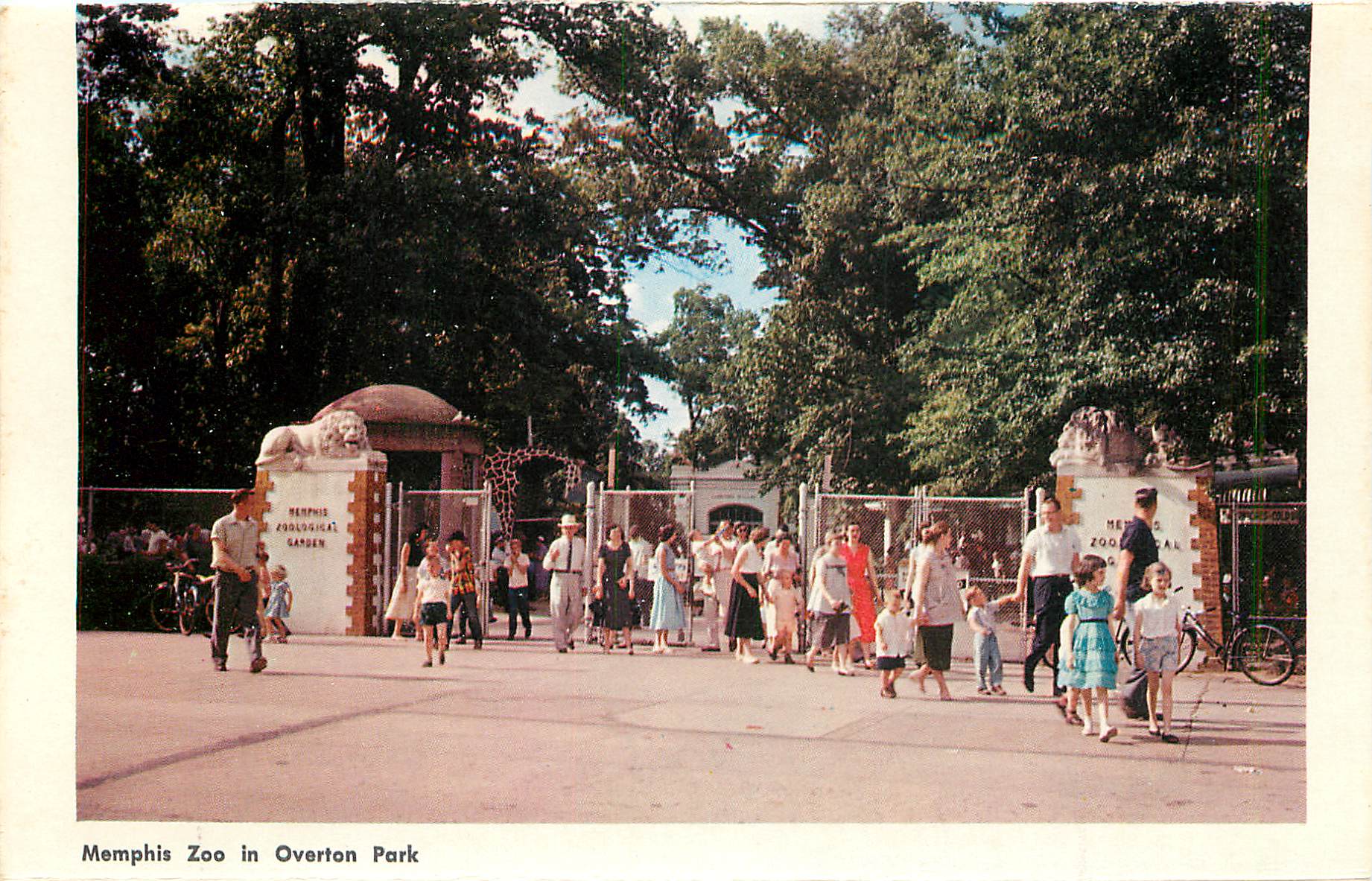 CPM Jude Hospital Founded by Danny Thomas Memphis Zoo in Overton Park — Back