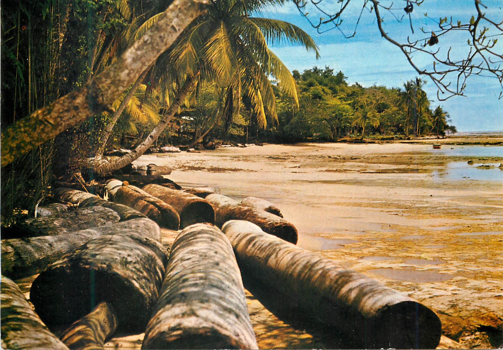 CPM Images du Gabon Plage Pres du Cap Esterias