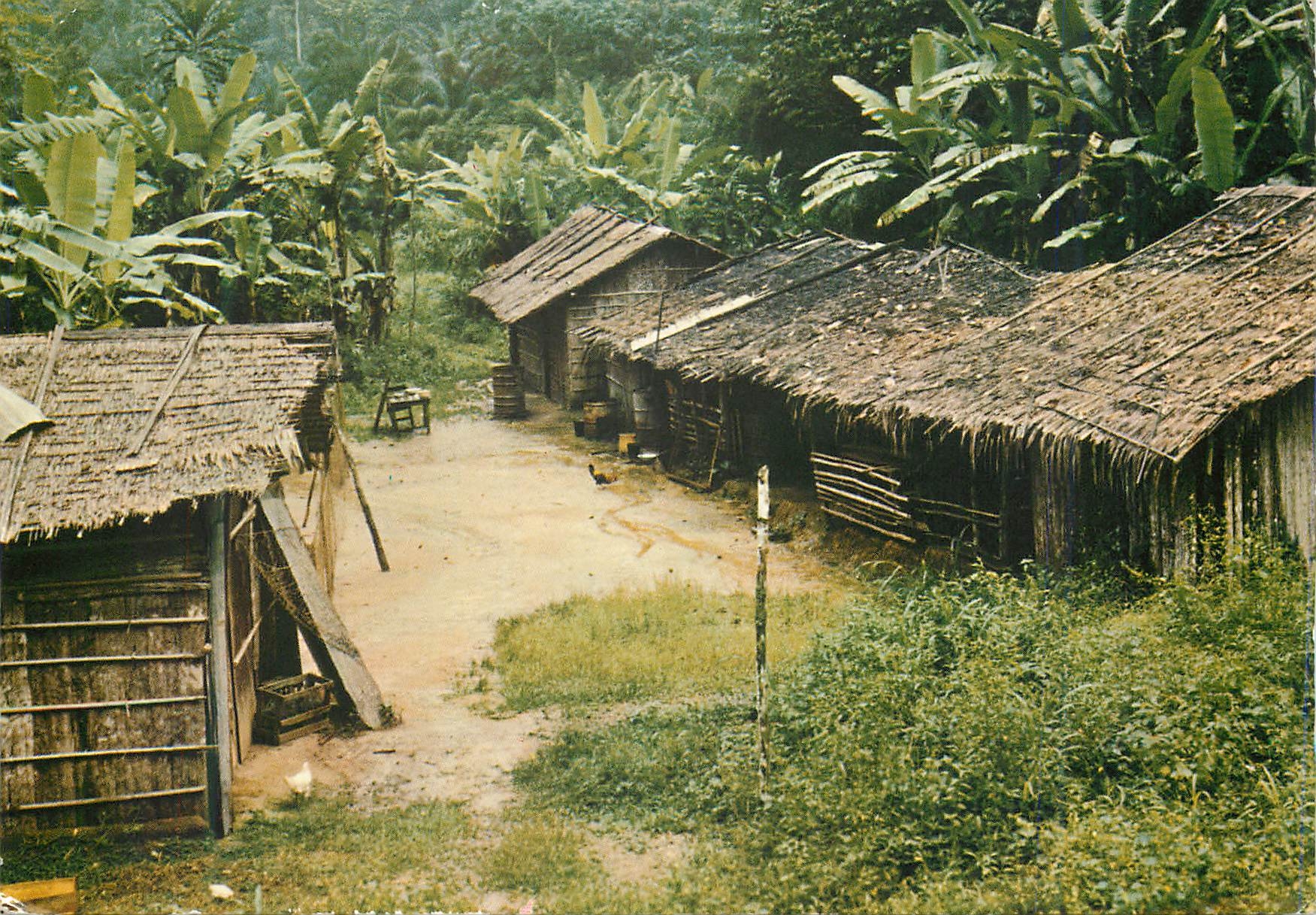 CPM Images du Gabon Campement en Foret