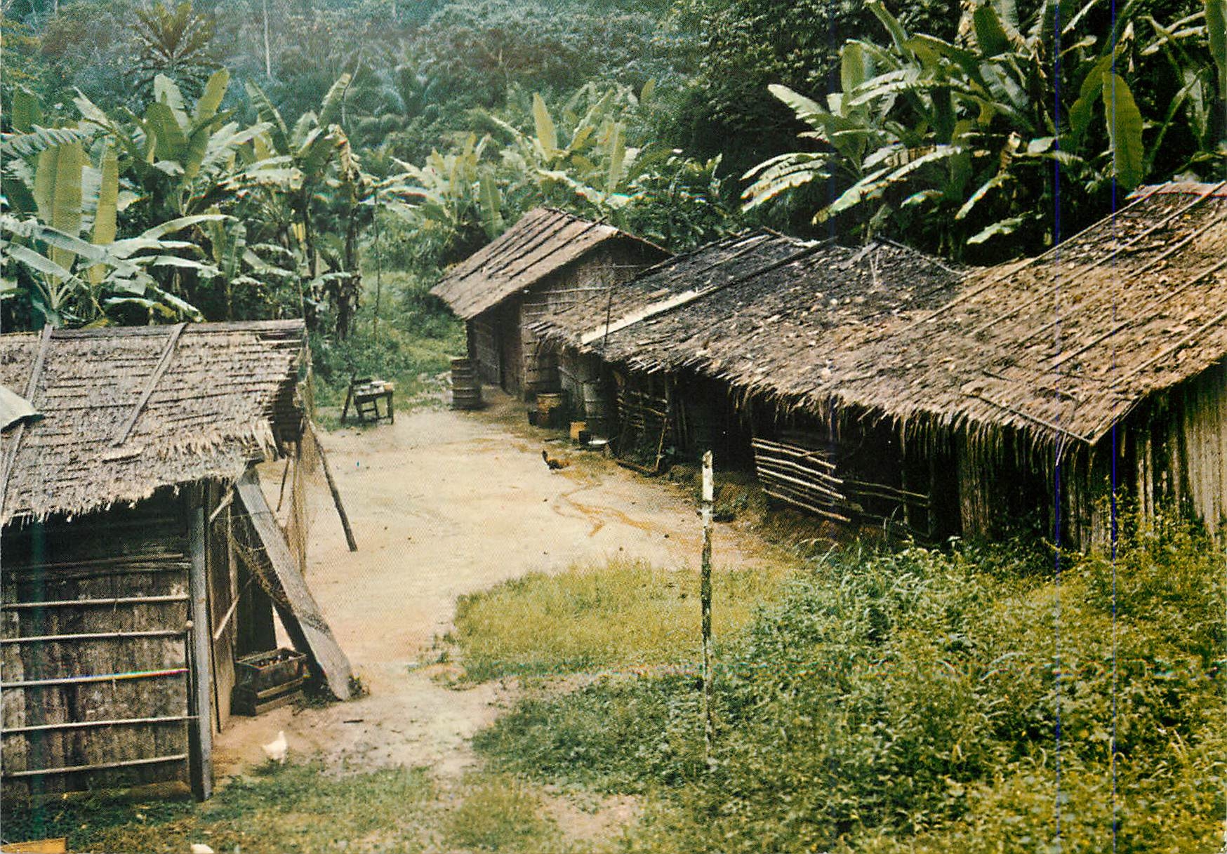 CPM Images du Gabon Campement en Foret