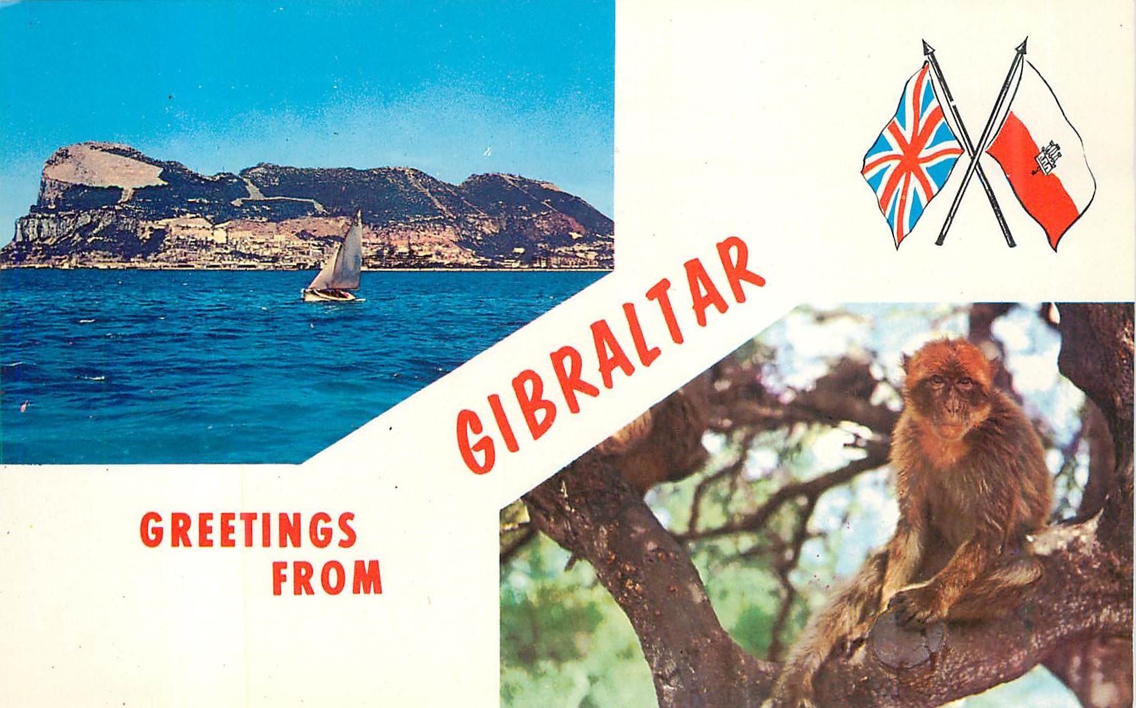 CPM Greetings From Gibraltar A British Colony Since 1704
