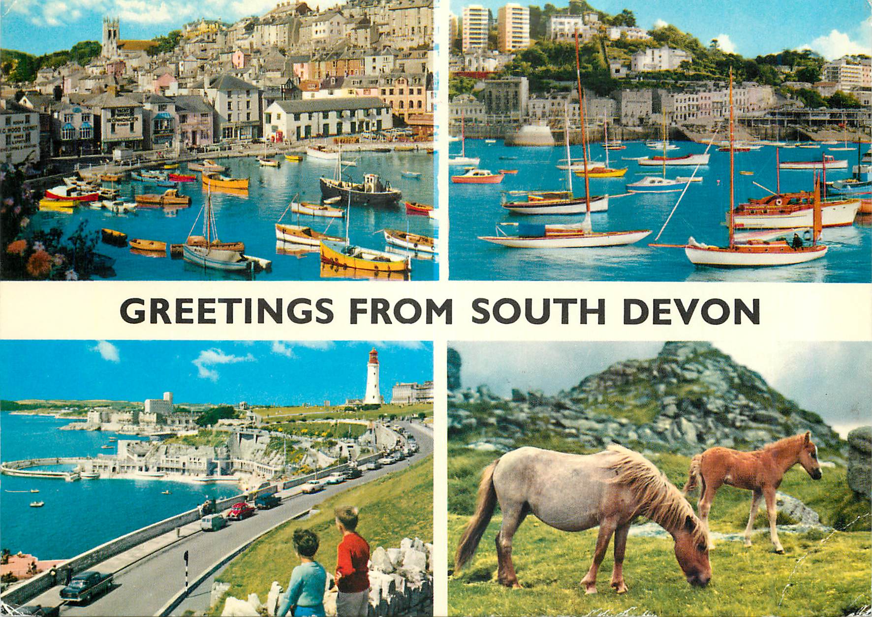 CPM Greetings From South Devon