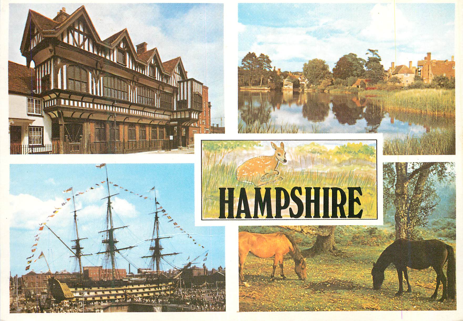 CPM Hampshire Beauty Spots Bateau Biche Cheval