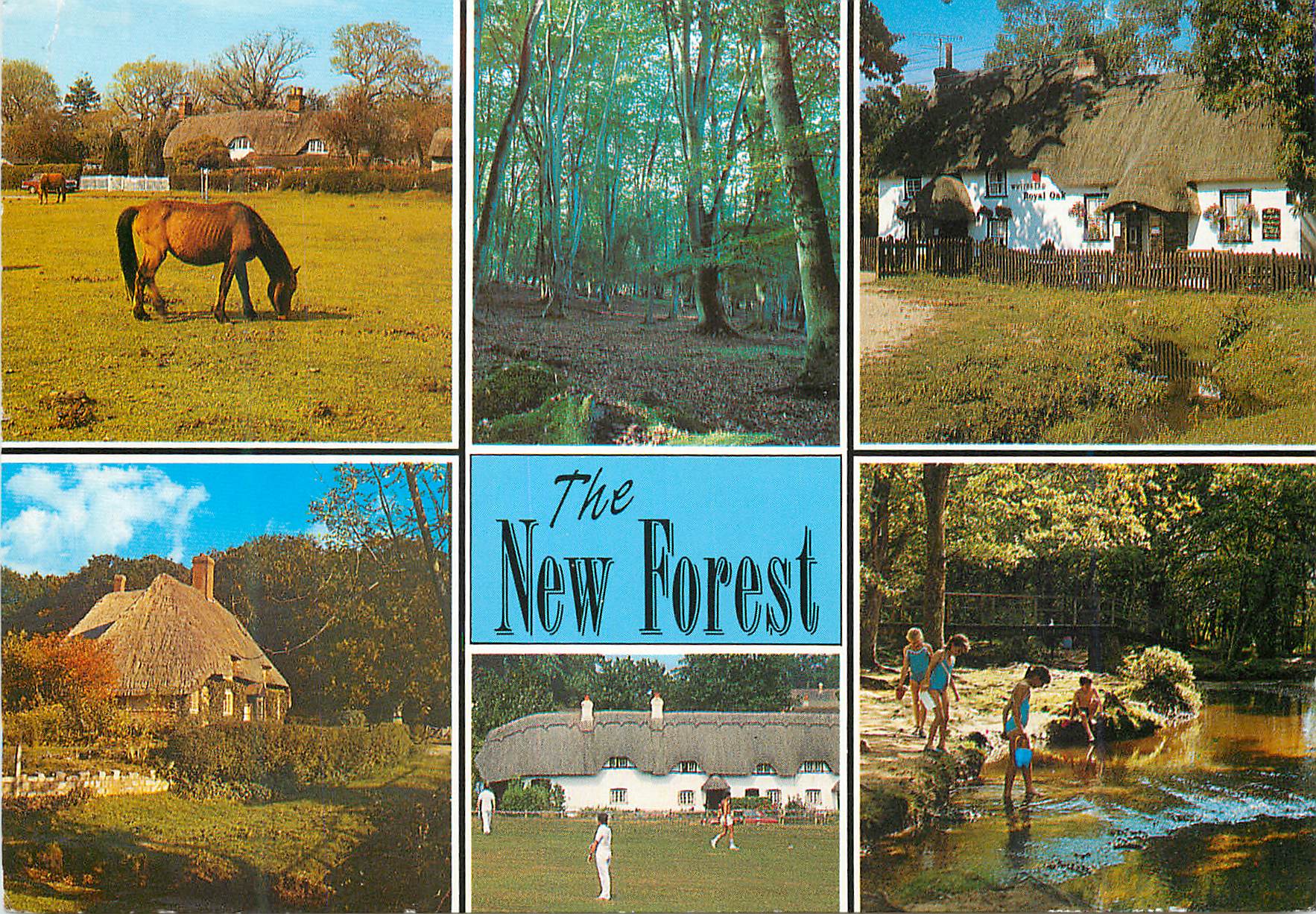 CPM New forest