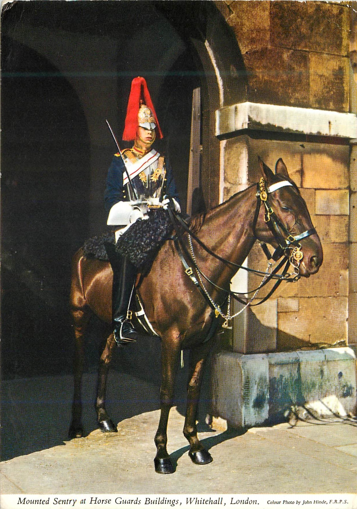 CPM Mounted Sentry at Horse Guards Buildings Whitehall London Militaria