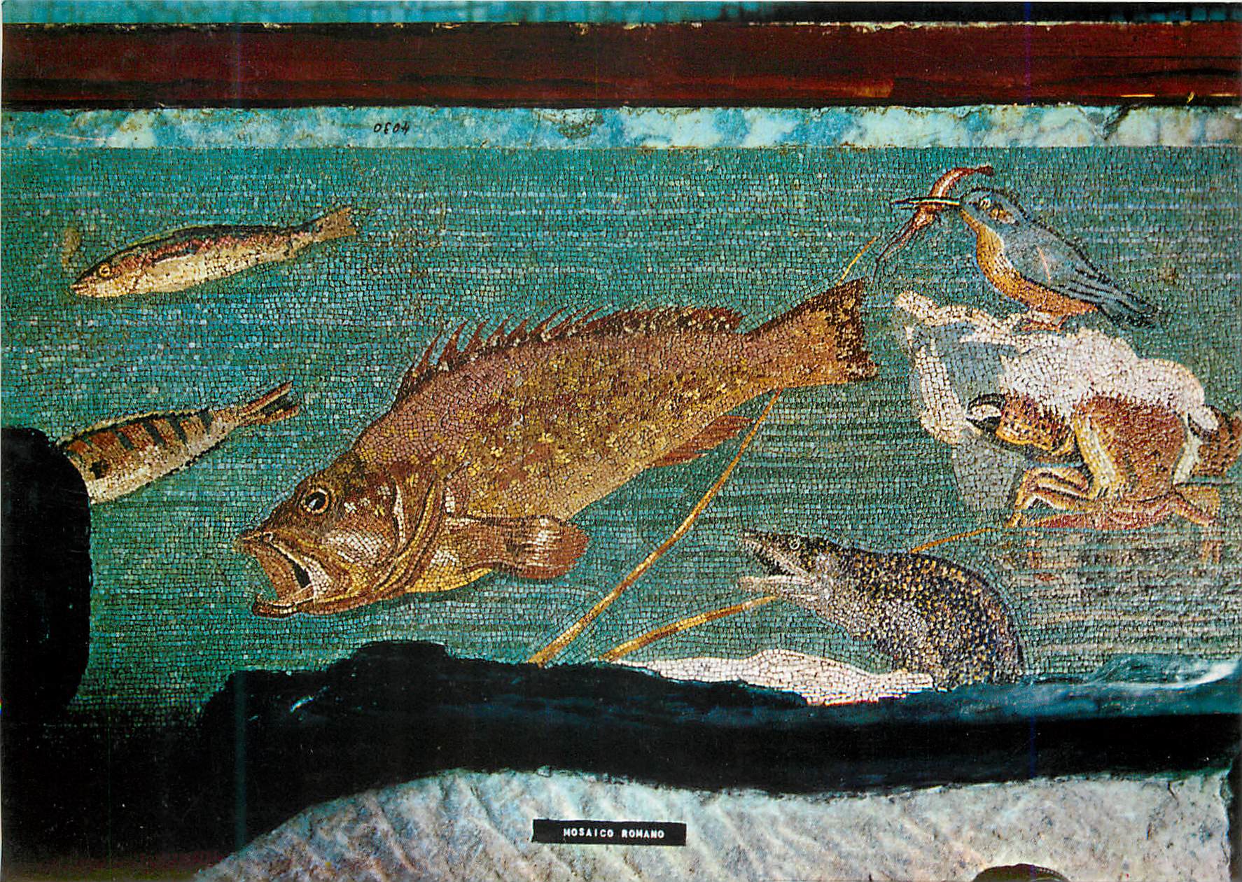 CPM Ampurias n° 1439 Mosaico Helenistico Ilamario de Los  Puces Poissons