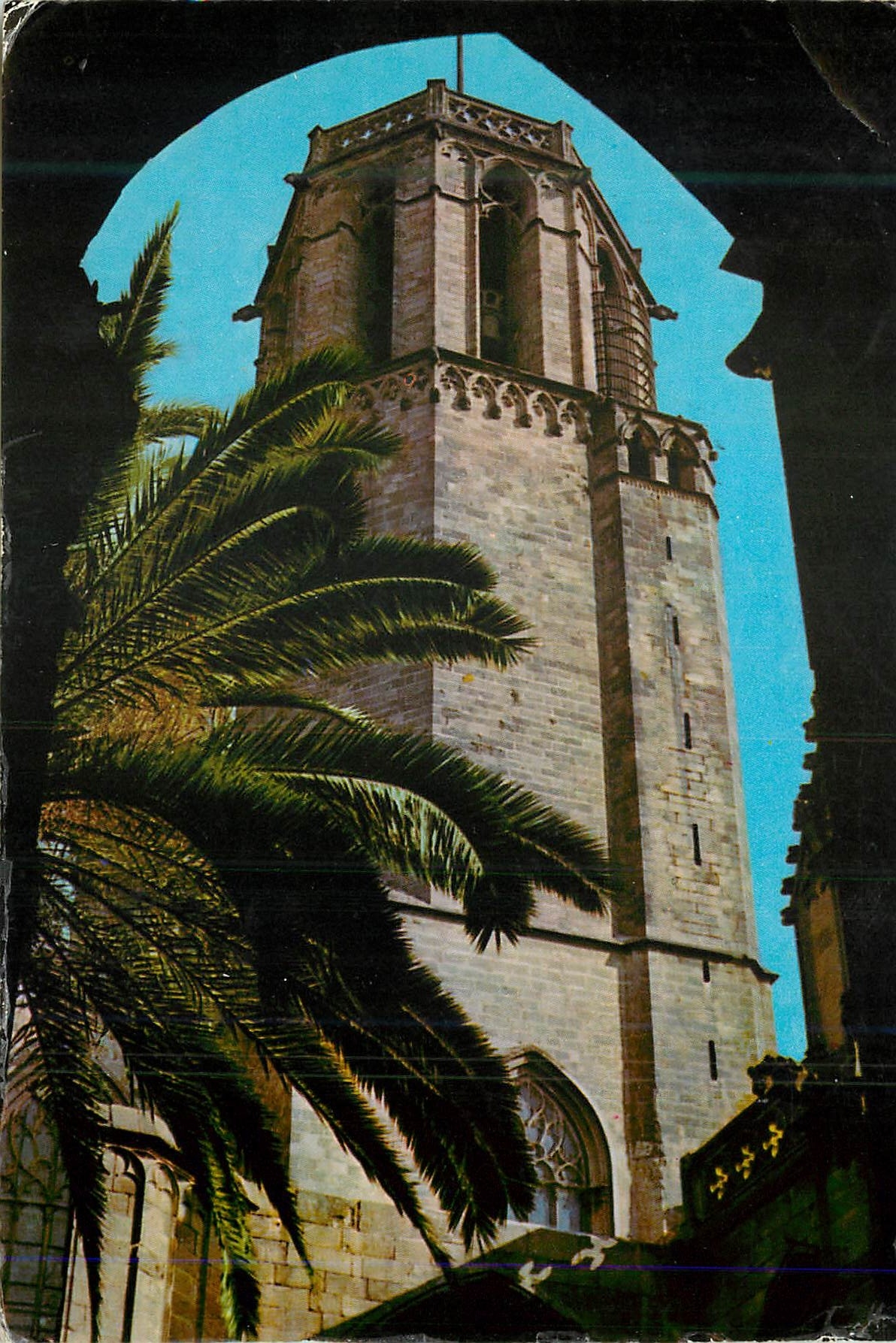 CPM Barcelona Quartier Gothique Cacher de la cathedrale