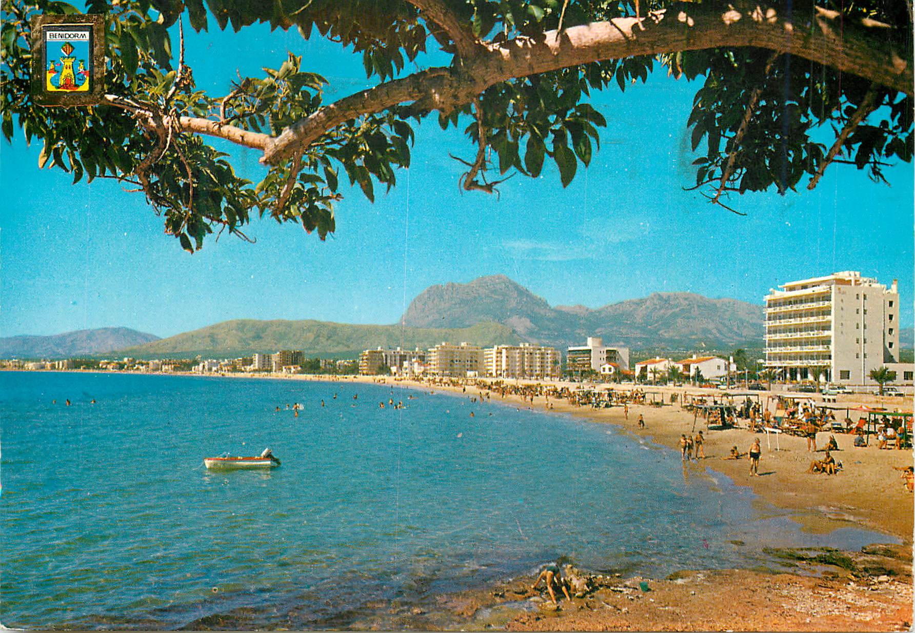 CPM Benidorm (Alicante) Plage de Levante