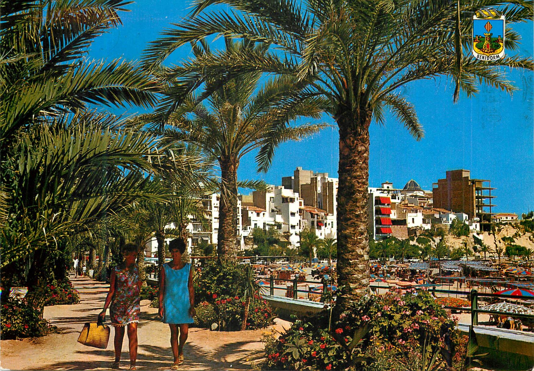 CPM Benidorm (Espana) Parc du Colon