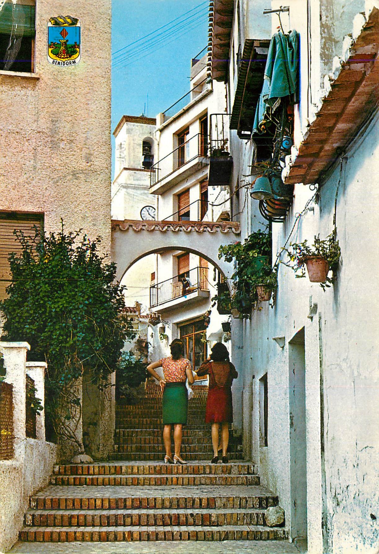 CPM Benidorm (Alicante) Rue Los Gatos (Rue des Chats)