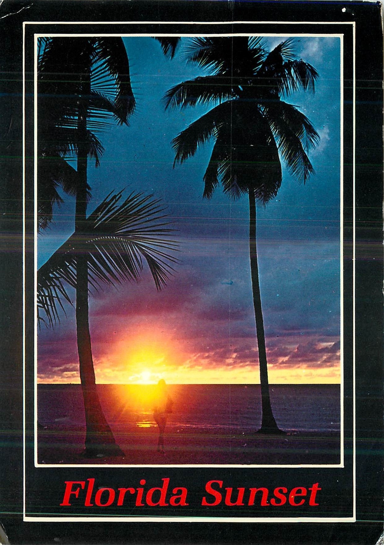 CPM Florida Sunset