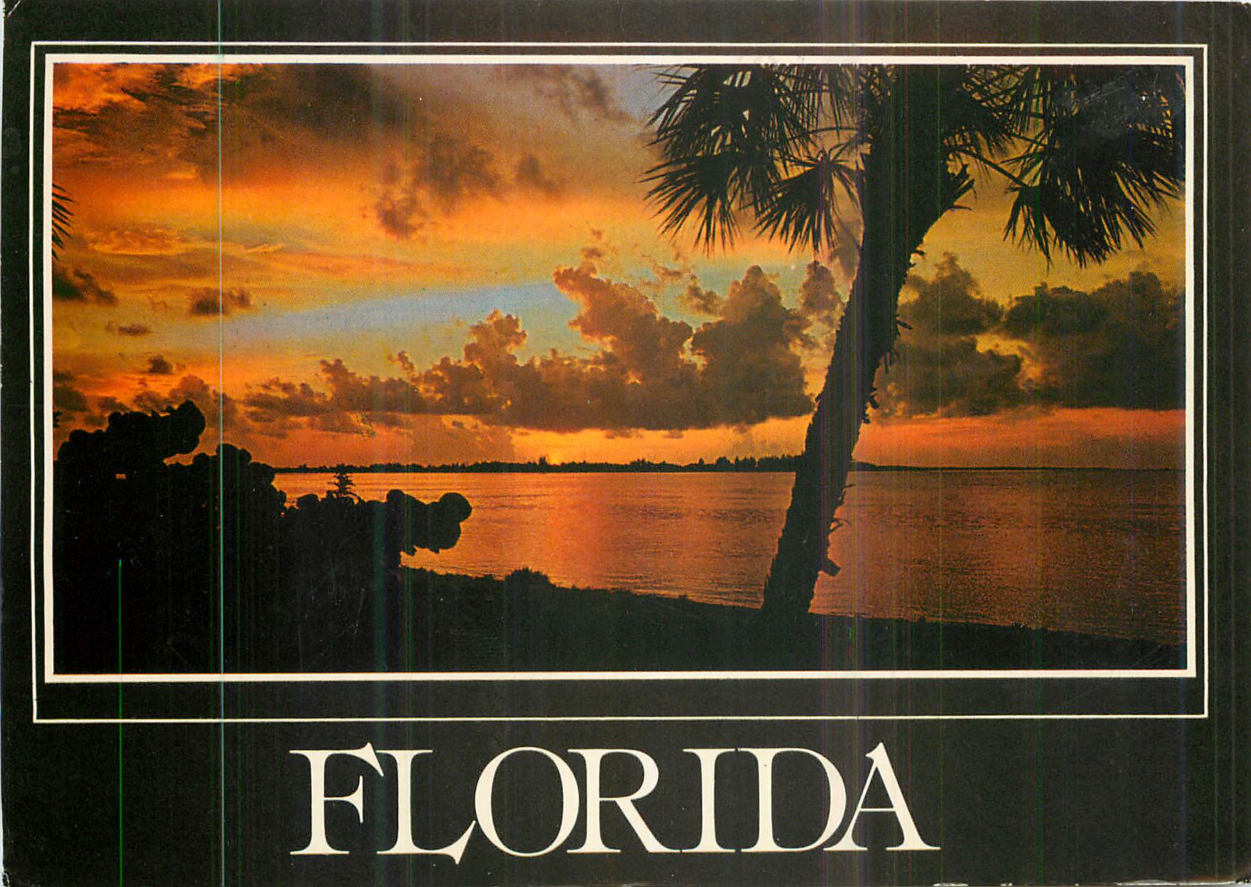 CPM Florida Sunset