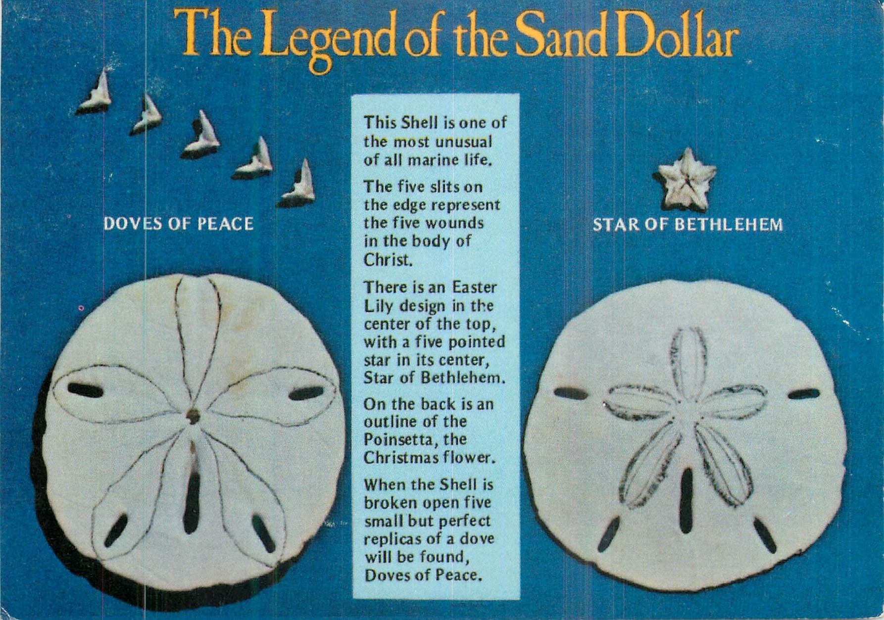 CPM The Legent of the Sand Dollar