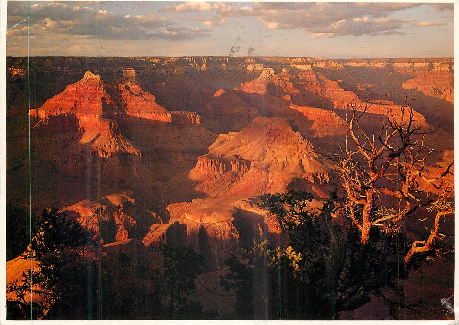 CPM Grand Canyon National Park Arizona the Grand Canyons Broad Expance Viewed in Evening Light