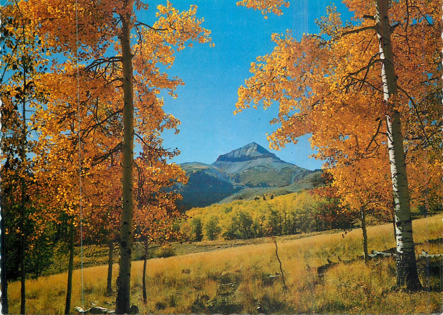 CPM Lone Cove Near Norwood Colorado