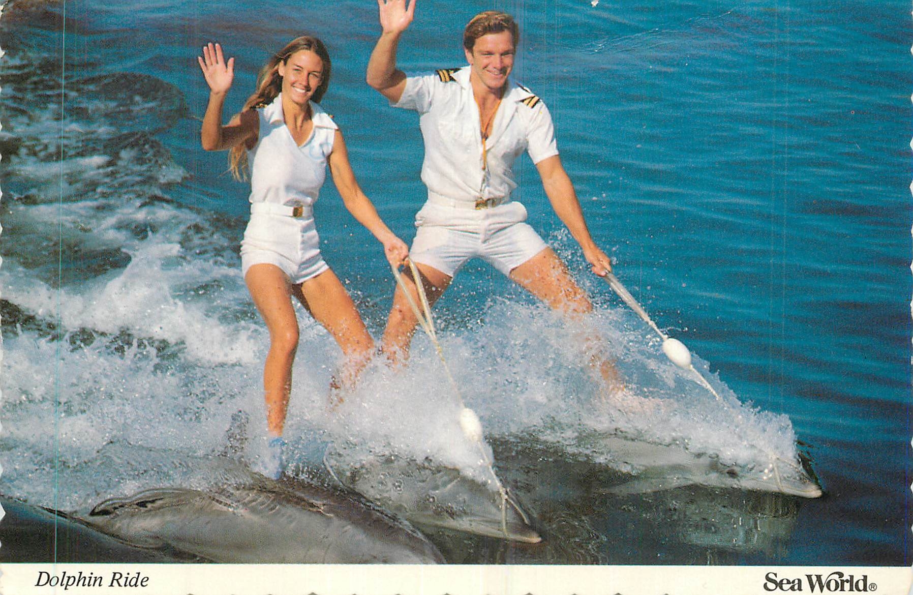 CPM Dolphin Ride San Diego CA Aunora OH and Orlando