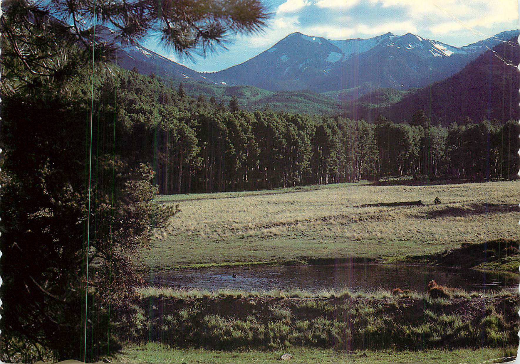 CPM Flagstaff Arizona a San Francisco Peaks