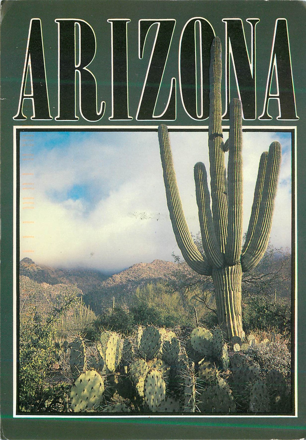 CPM Saguaro Cactus Arizona Desert