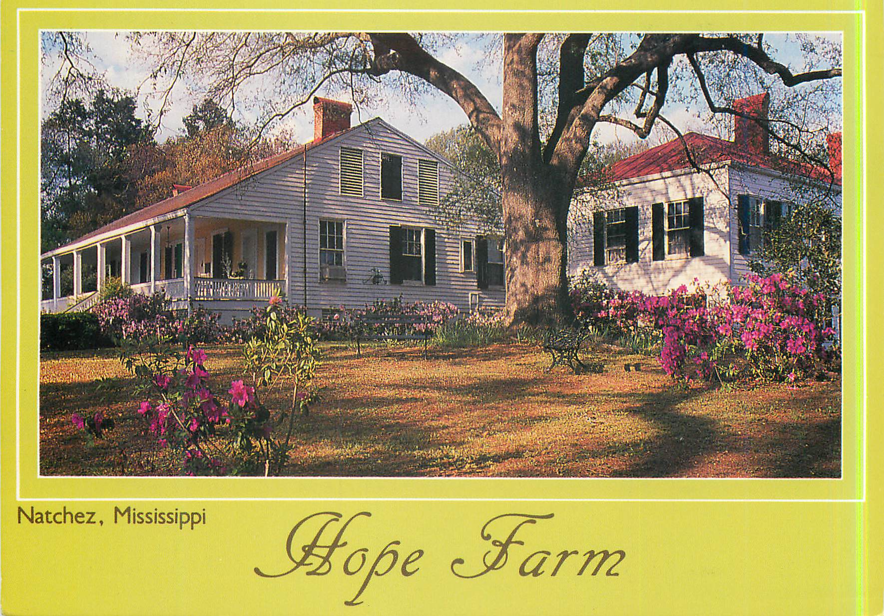 CPM Natchez Mississippi Hope Farm