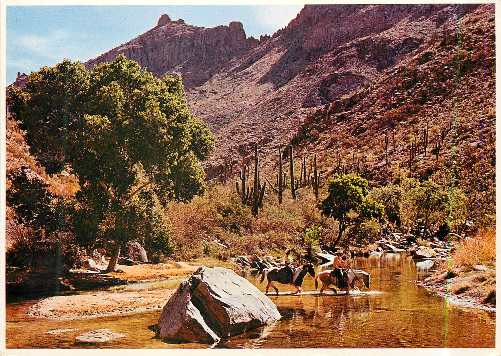 CPM Sabino Canyon Tucson Arizona