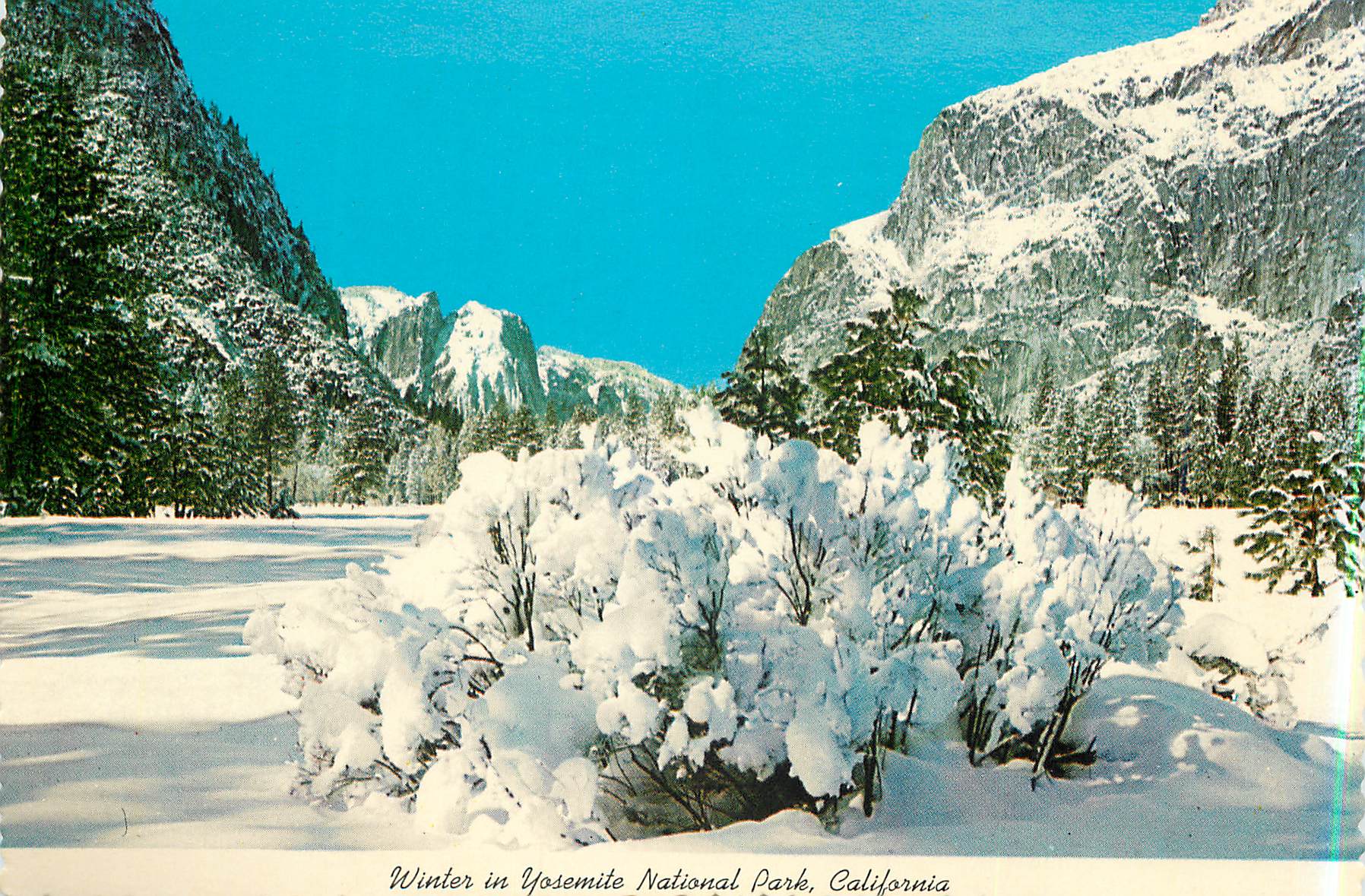 CPM Winter in Yosemite National Park California