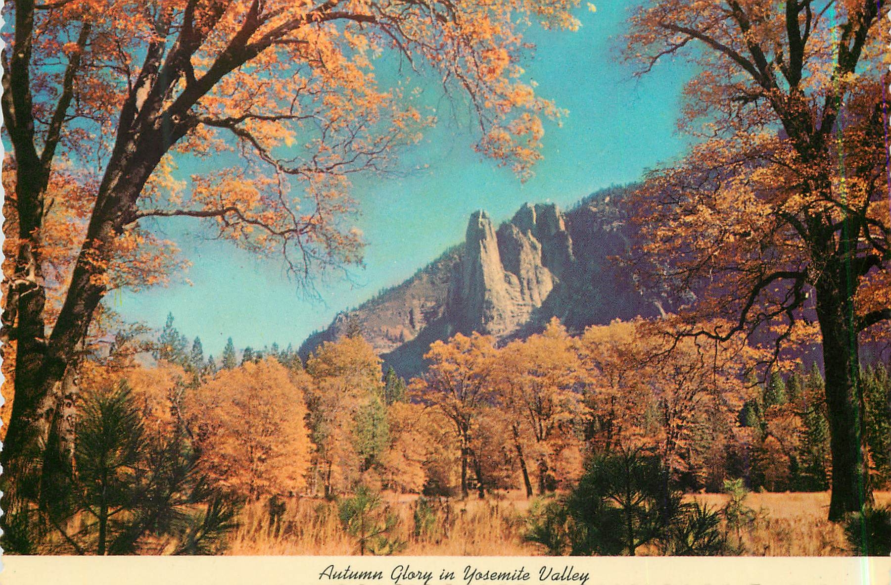 CPM Autumn Glory in Yosemite Valley California