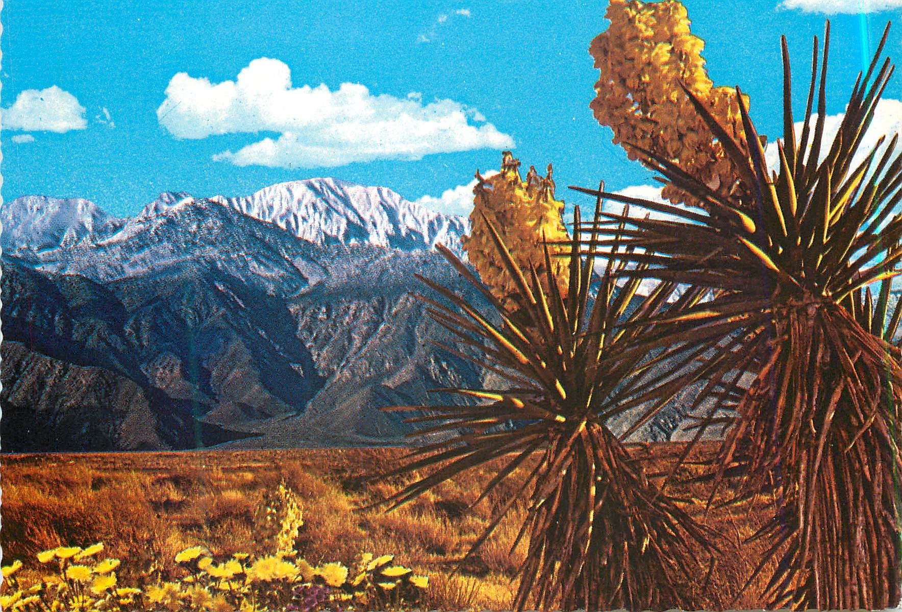 CPM Springtime on the Desert