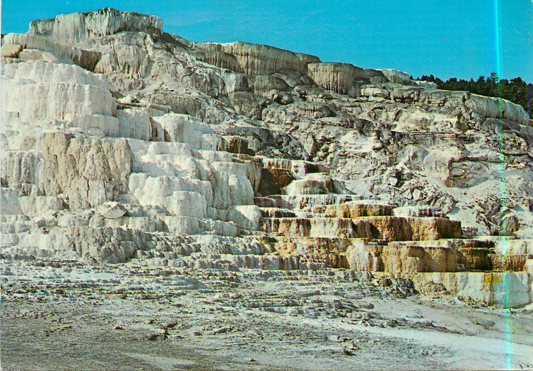 CPM Minerva Terrace Yellowstone National Park